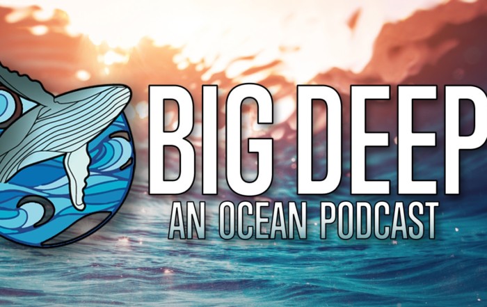 Big Deep Ocean Podcast